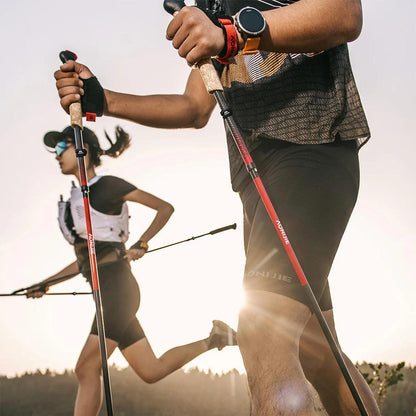 Aonijie E4218 Ultralight Trekking Pole Carbon