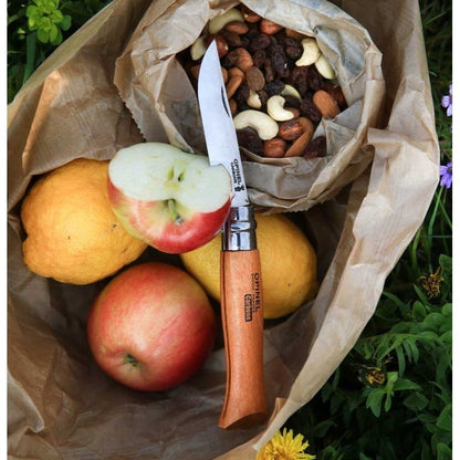 Opinel N°09 Carbon Steel Folding Knife - Pisau Lipat Outdoor Bushcraft