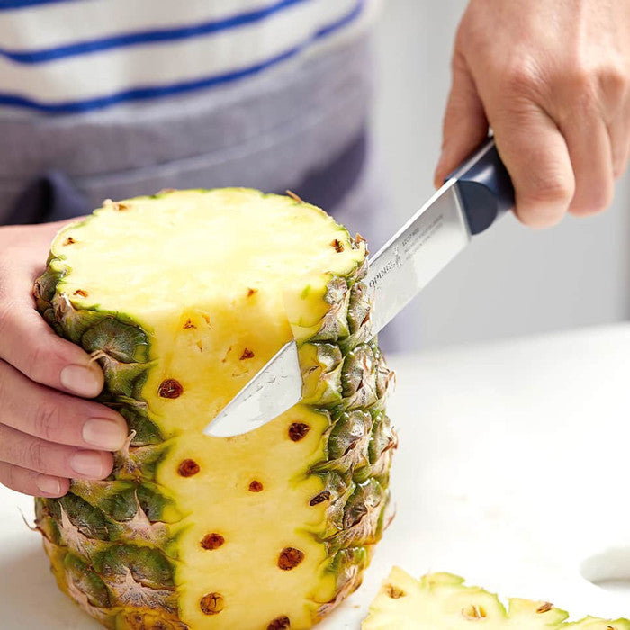 Pisau Dapur Ukir Buah/Sayur Opinel N°220 Knife intempora