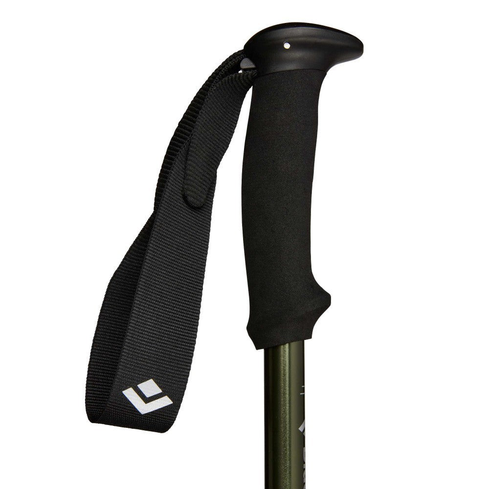 Black Diamond New Explorer 3 Trekking Poles
