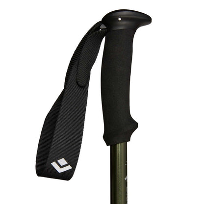 Black Diamond New Explorer 3 Trekking Poles