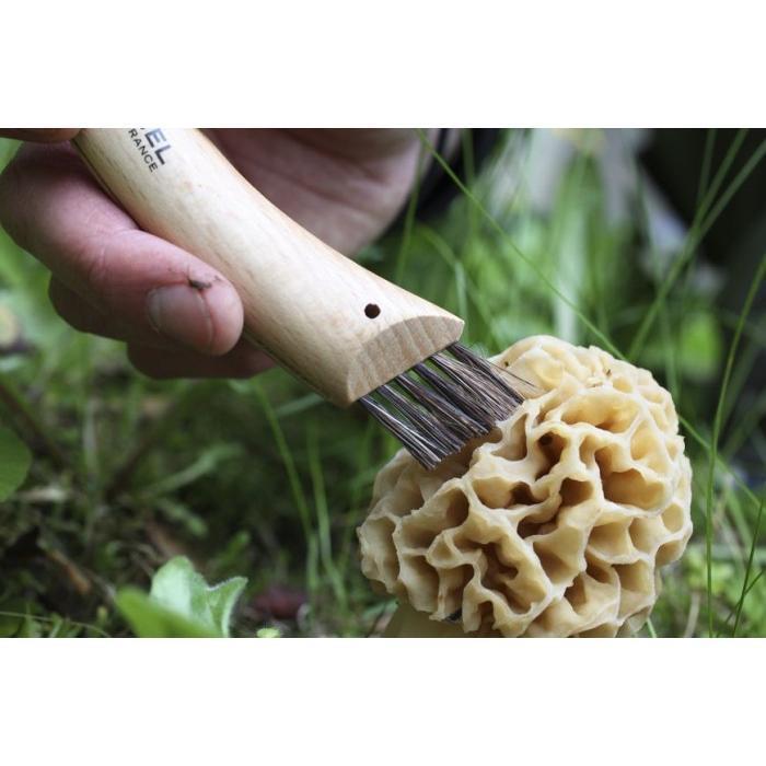 Opinel N°08 Mushroom Knife - Pisau Lipat Pemotong Jamur