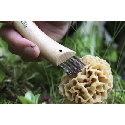 Opinel N°08 Mushroom Knife - Pisau Lipat Pemotong Jamur